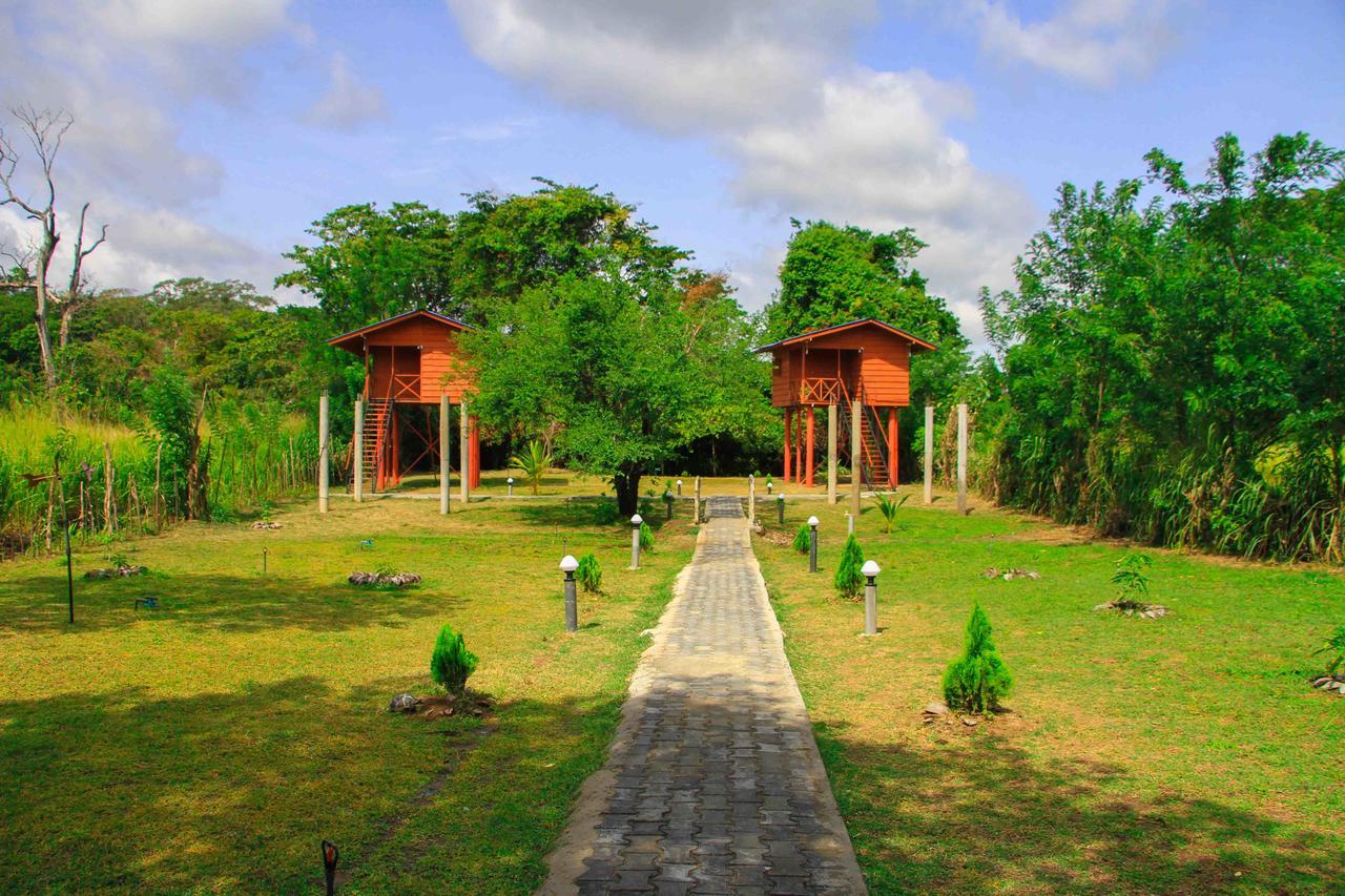 Sigiri Royal Point Tree House Hotel Sigiriya Buitenkant foto