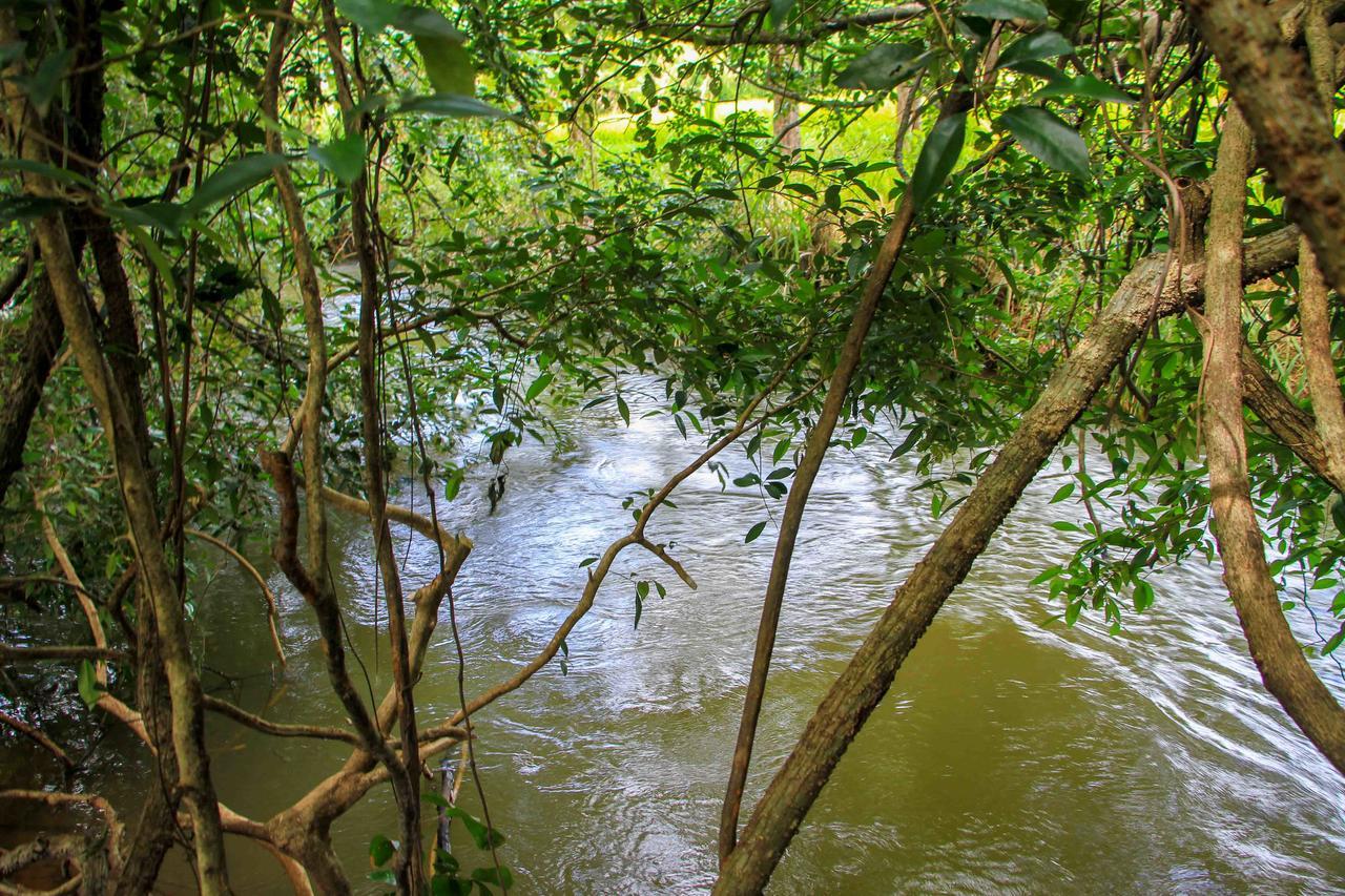 Sigiri Royal Point Tree House Hotel Sigiriya Buitenkant foto