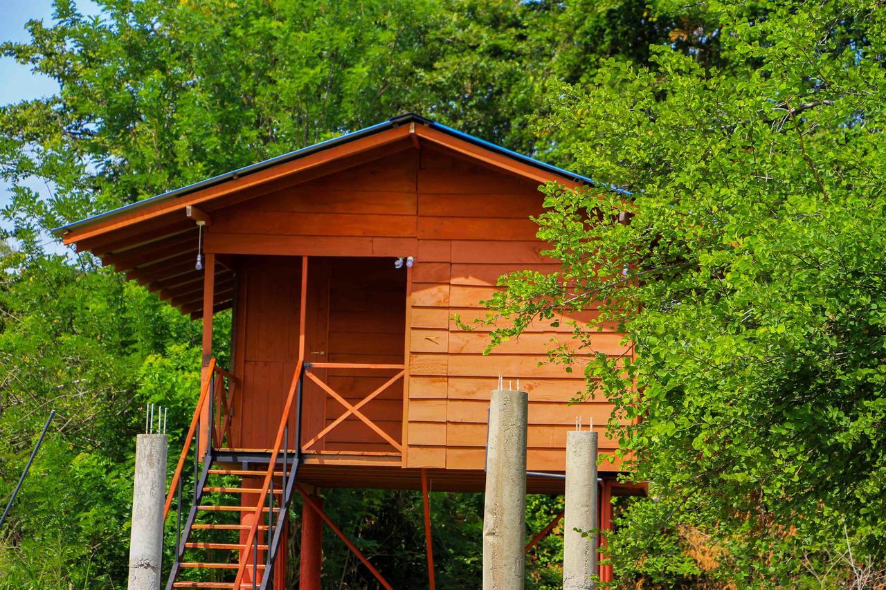 Sigiri Royal Point Tree House Hotel Sigiriya Buitenkant foto