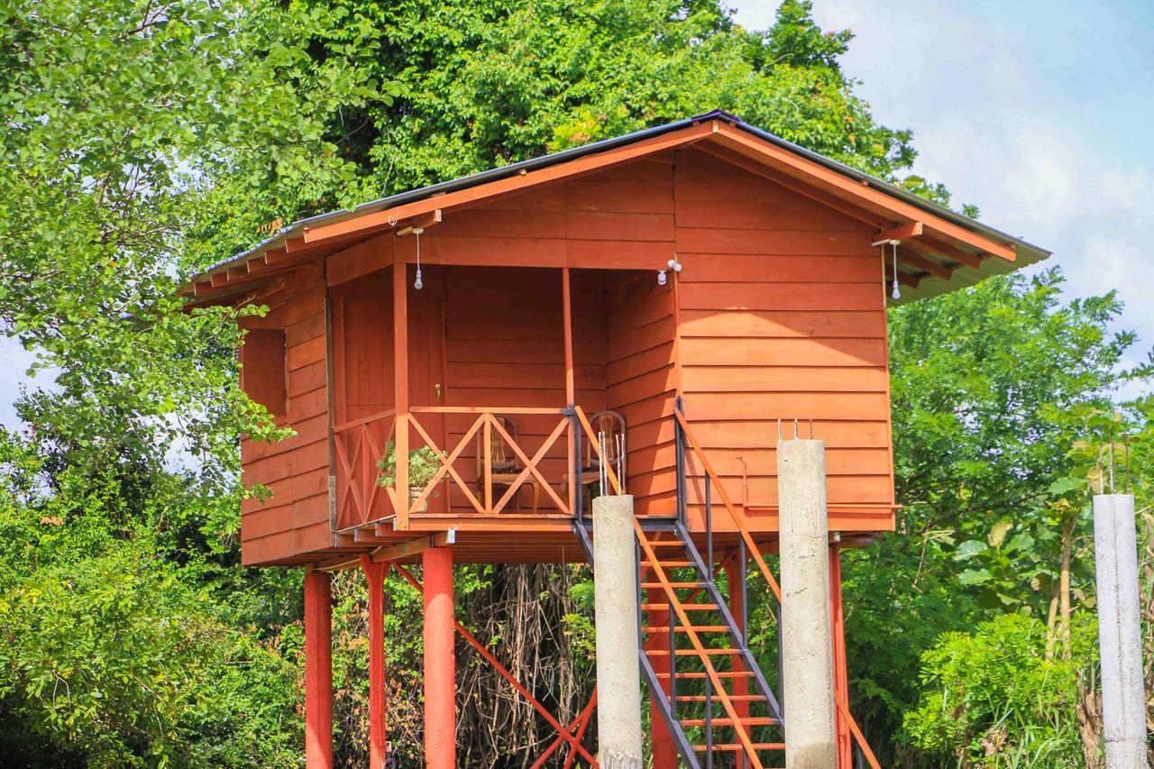 Sigiri Royal Point Tree House Hotel Sigiriya Buitenkant foto