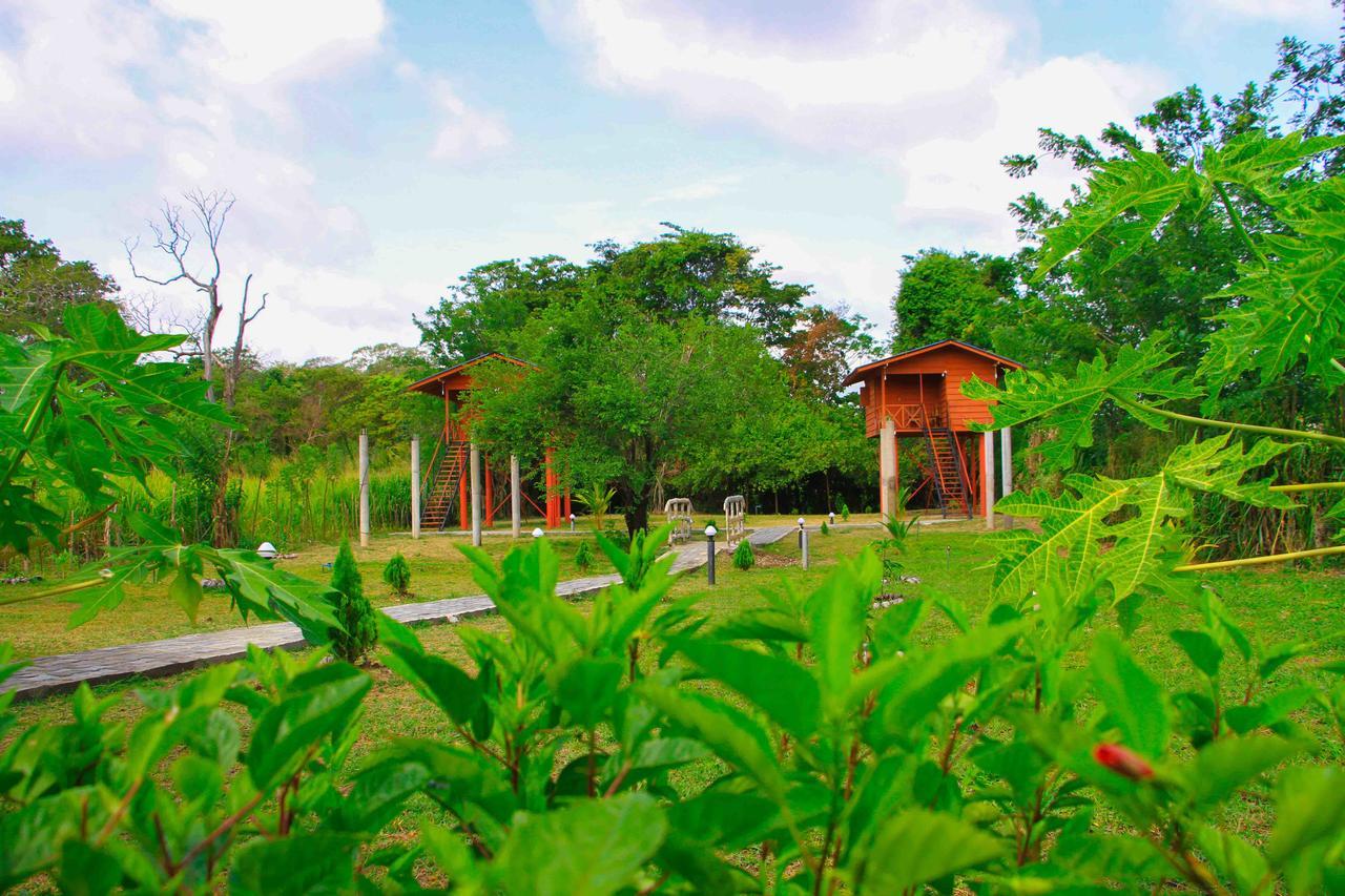 Sigiri Royal Point Tree House Hotel Sigiriya Buitenkant foto