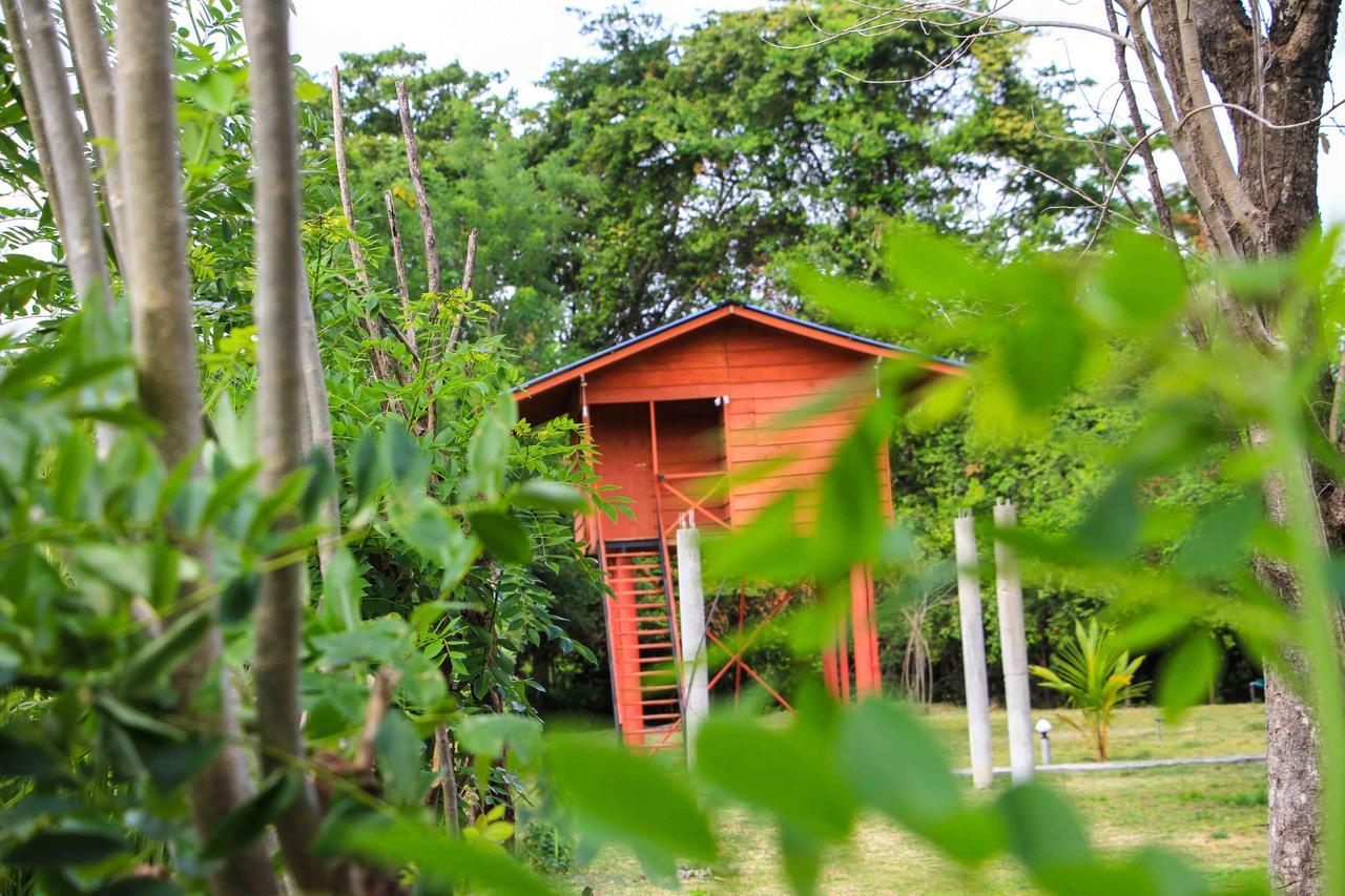 Sigiri Royal Point Tree House Hotel Sigiriya Buitenkant foto