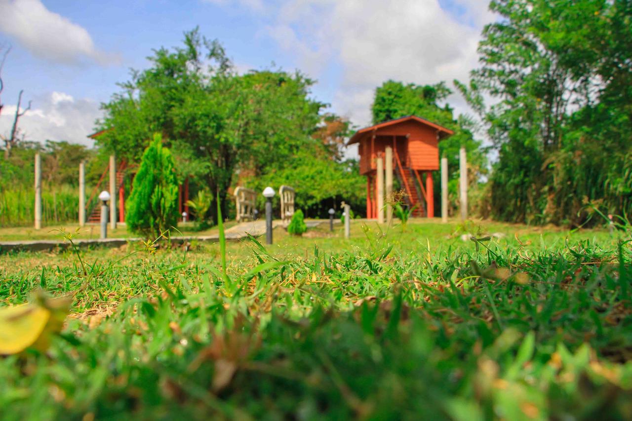 Sigiri Royal Point Tree House Hotel Sigiriya Buitenkant foto