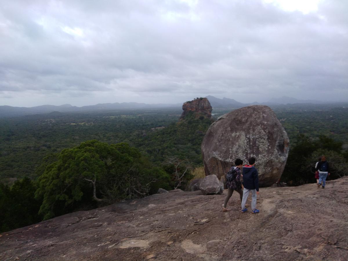 Sigiri Royal Point Tree House Hotel Sigiriya Buitenkant foto