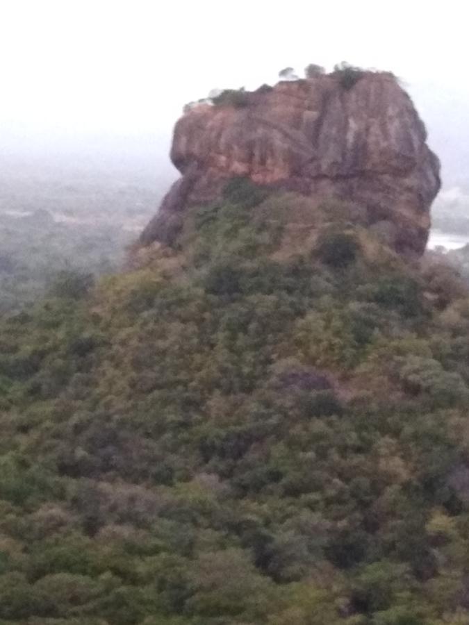 Sigiri Royal Point Tree House Hotel Sigiriya Buitenkant foto