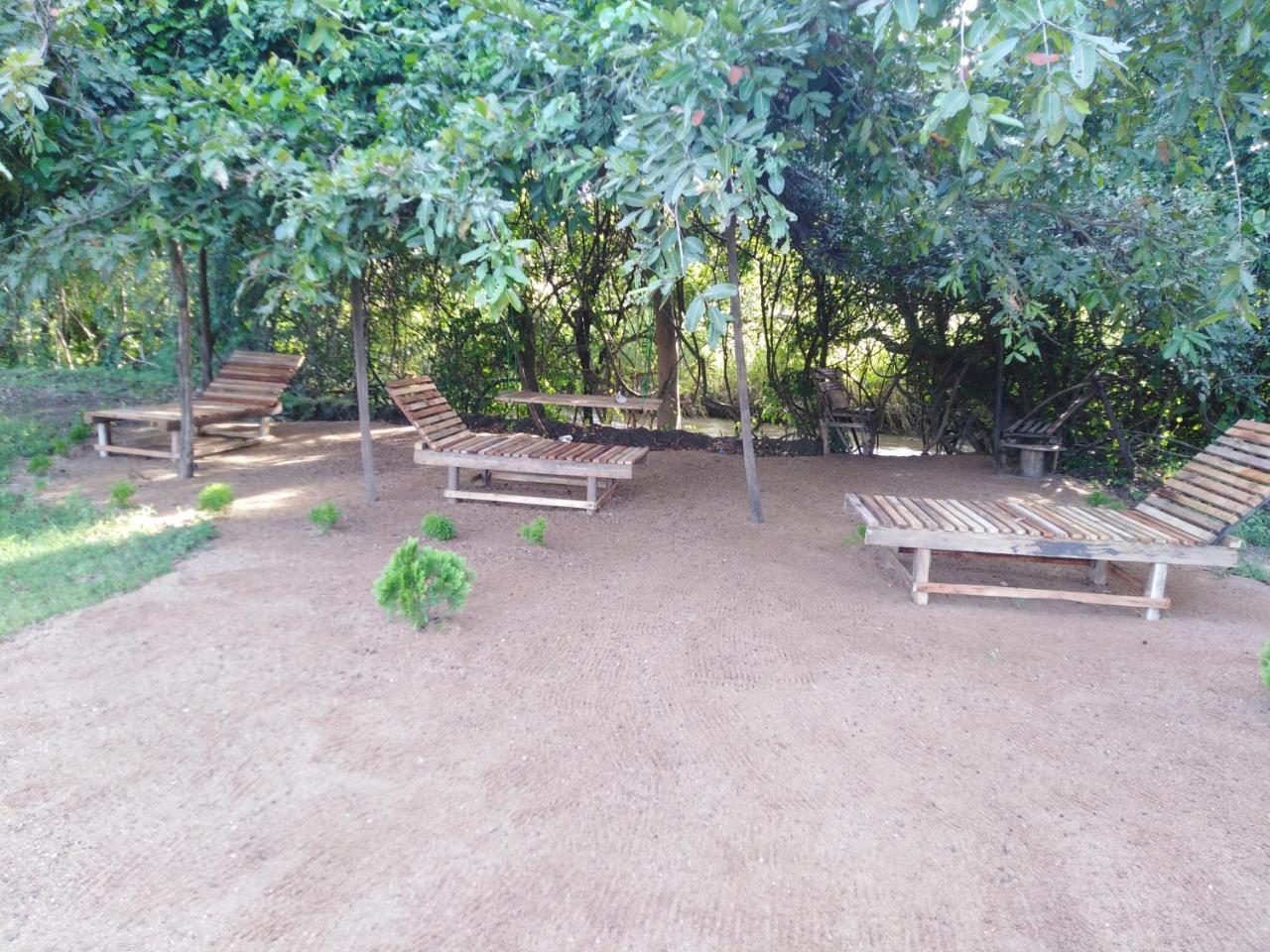 Sigiri Royal Point Tree House Hotel Sigiriya Buitenkant foto