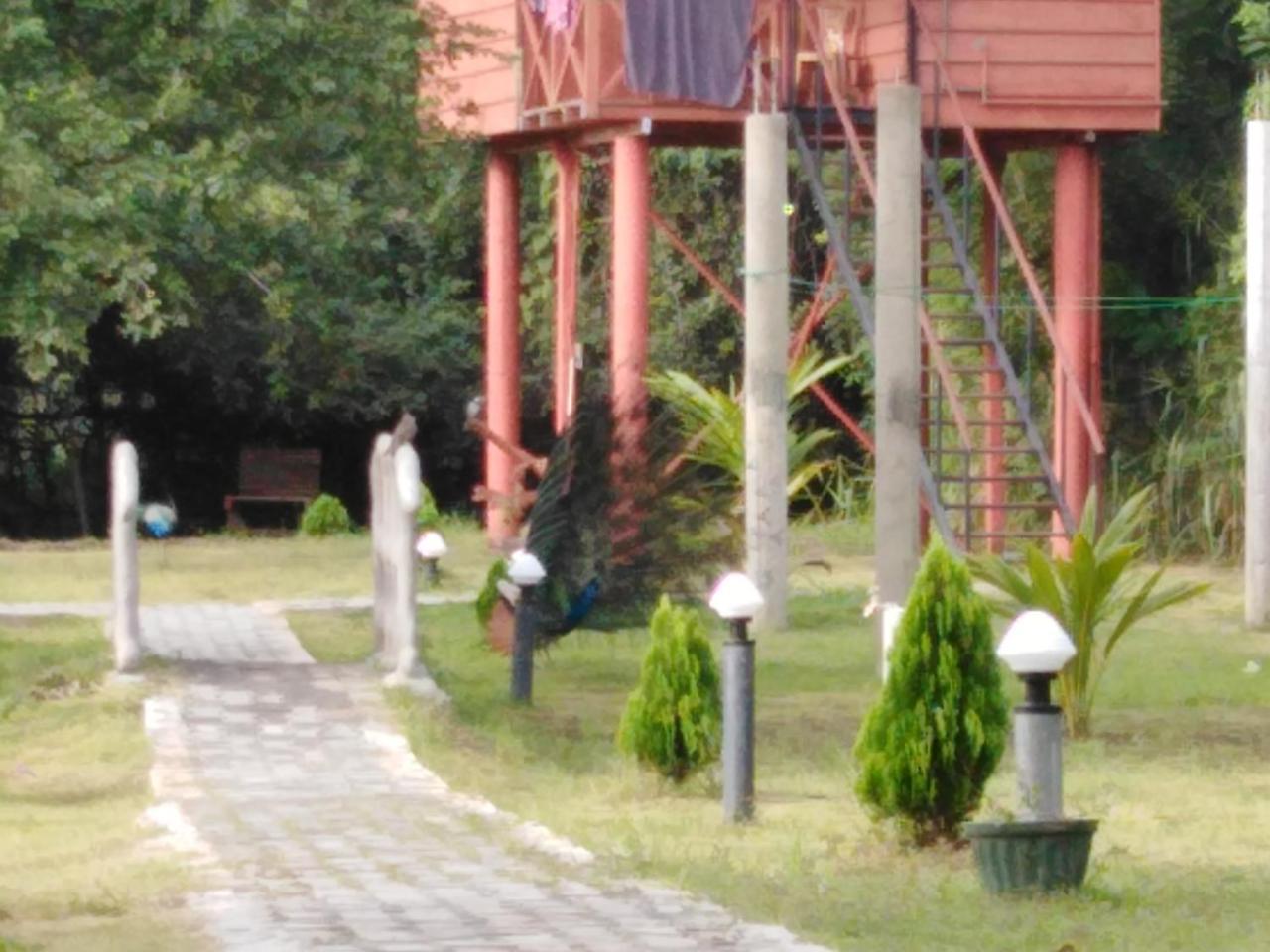 Sigiri Royal Point Tree House Hotel Sigiriya Buitenkant foto